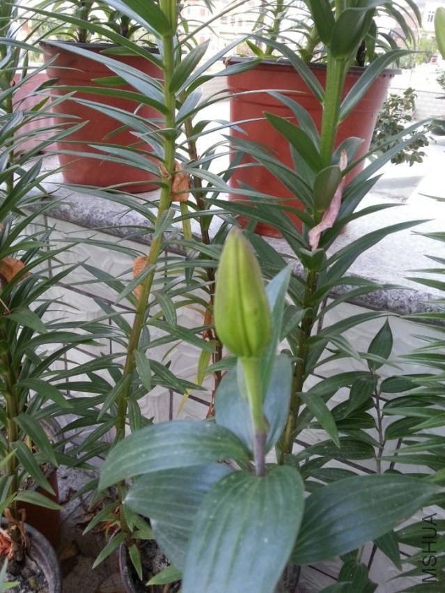 ��Ǩ�� (3).jpg