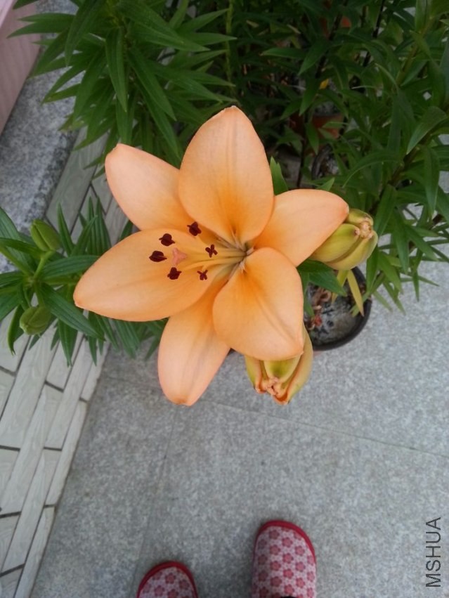 ��ŵ���� (2).jpg