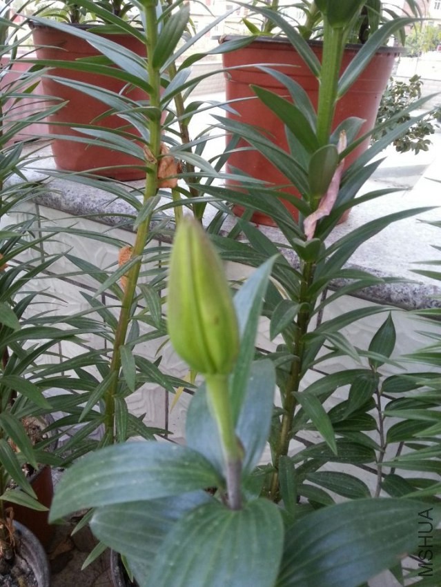 ��Ǩ�� (2).jpg