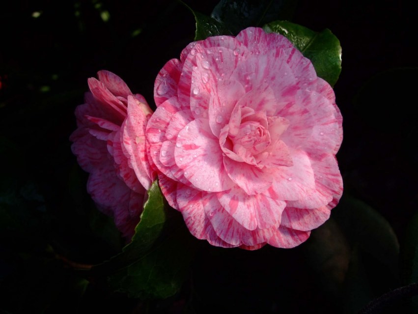 �����˹ 2014-3-22 021.jpg