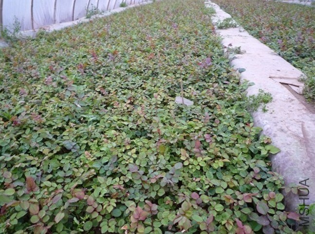 QQͼƬ20140323064449.jpg