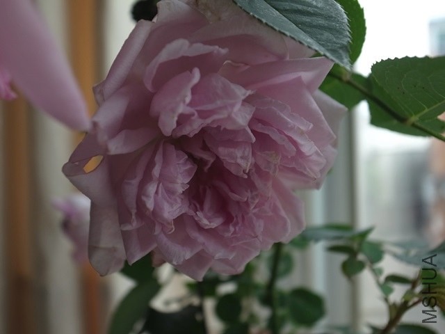 �D����걻����