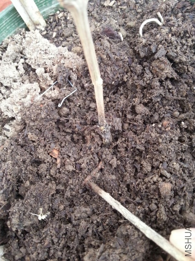 ����ɫ����֮ǰһ��