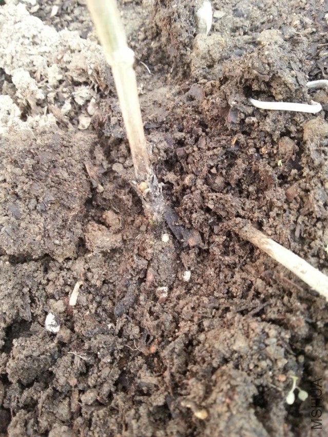 ������ϴ�