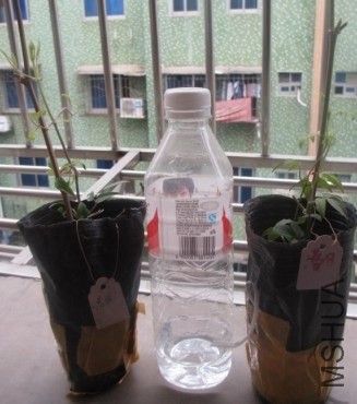 20140323124121.jpg