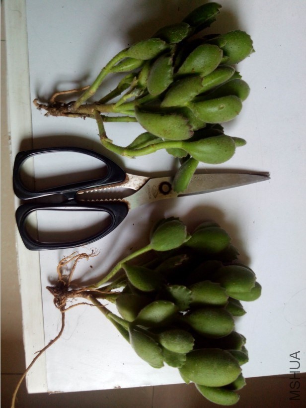 QQ��ͼ20140323160607.jpg