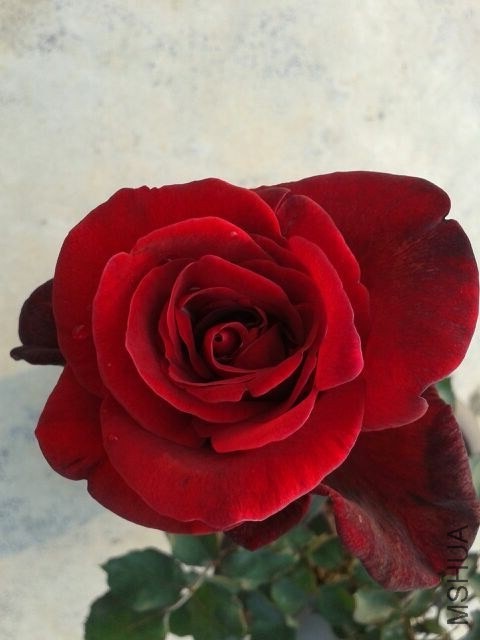QQͼƬ20140323164806.jpg