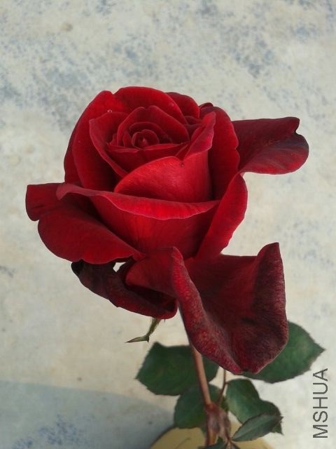 QQͼƬ20140323165200.jpg