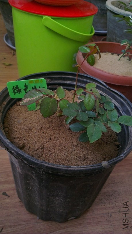 IMAG3897_��С��С.jpg