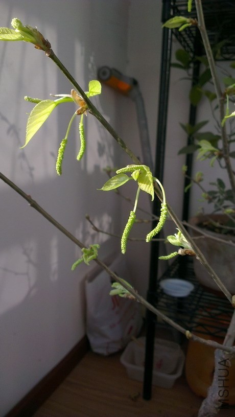 IMAG3902_��С��С.jpg