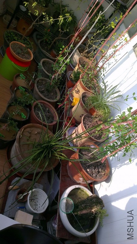 IMAG3904_��С��С.jpg
