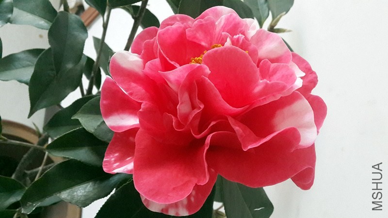 20140323_165642_����.jpg