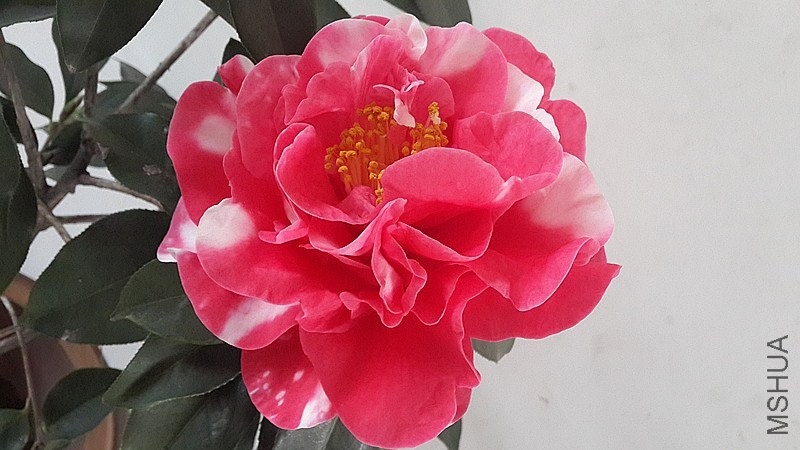 20140323_170958_����.jpg