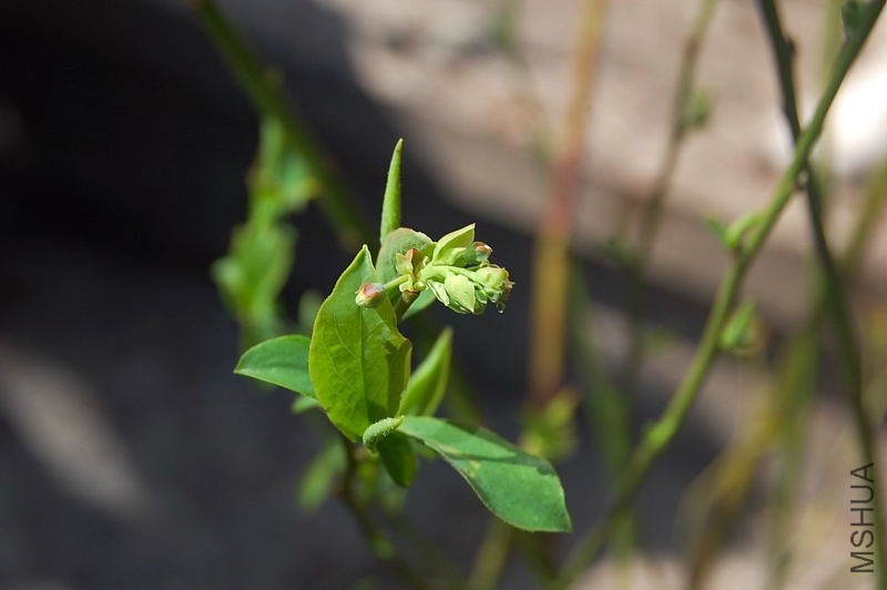 DSC_00160016.JPG