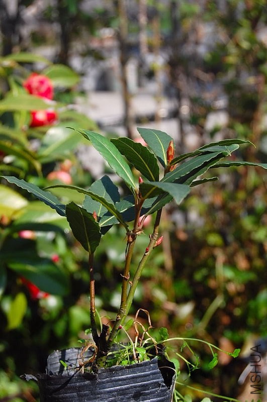 DSC_00230023.JPG