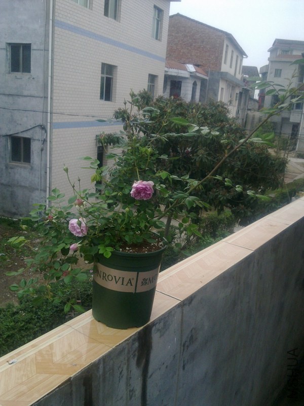 �꼧1.jpg