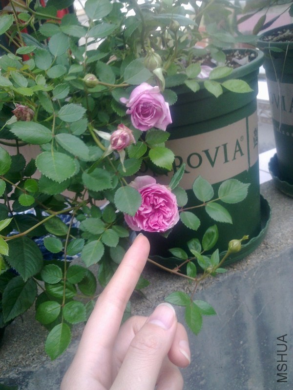 �꼧5.jpg