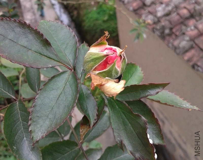 20140322_121829.jpg