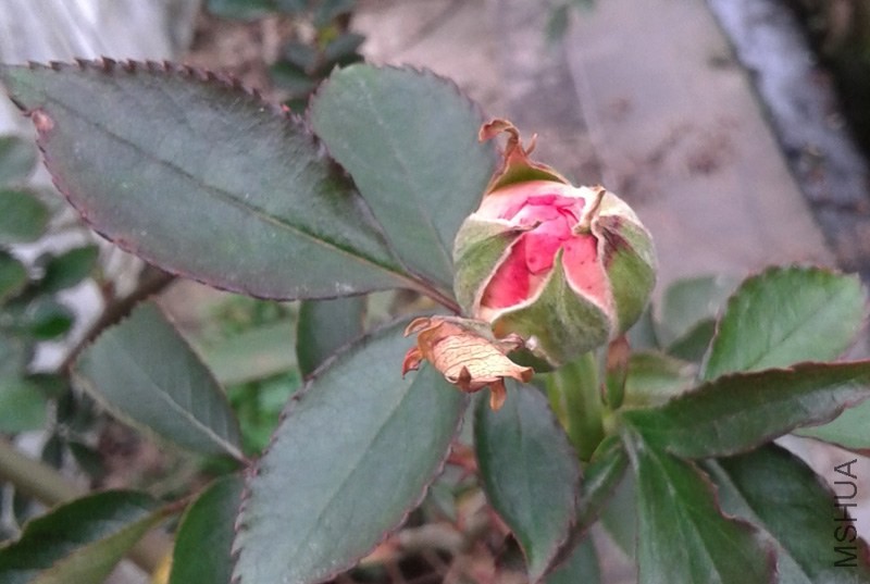 20140322_162723.jpg