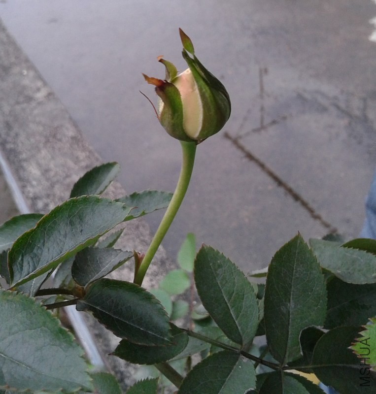 20140322_162859.jpg