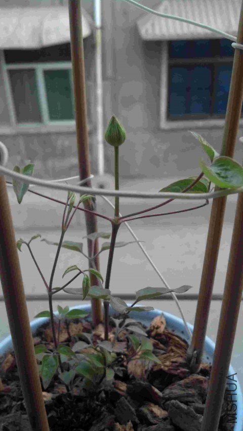 2014-03-22_18-17-09_420.jpg