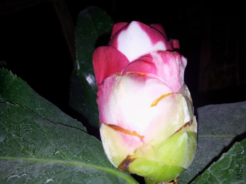 20140318_195753.jpg