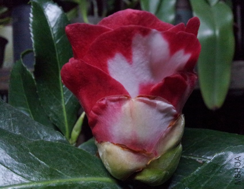20140319_193648.jpg