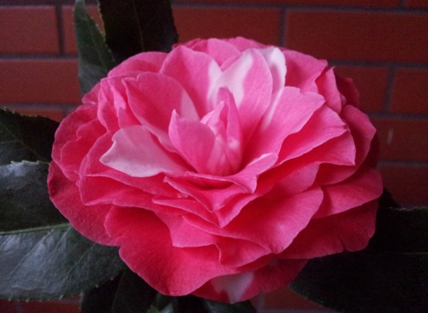 20140321_075140.jpg
