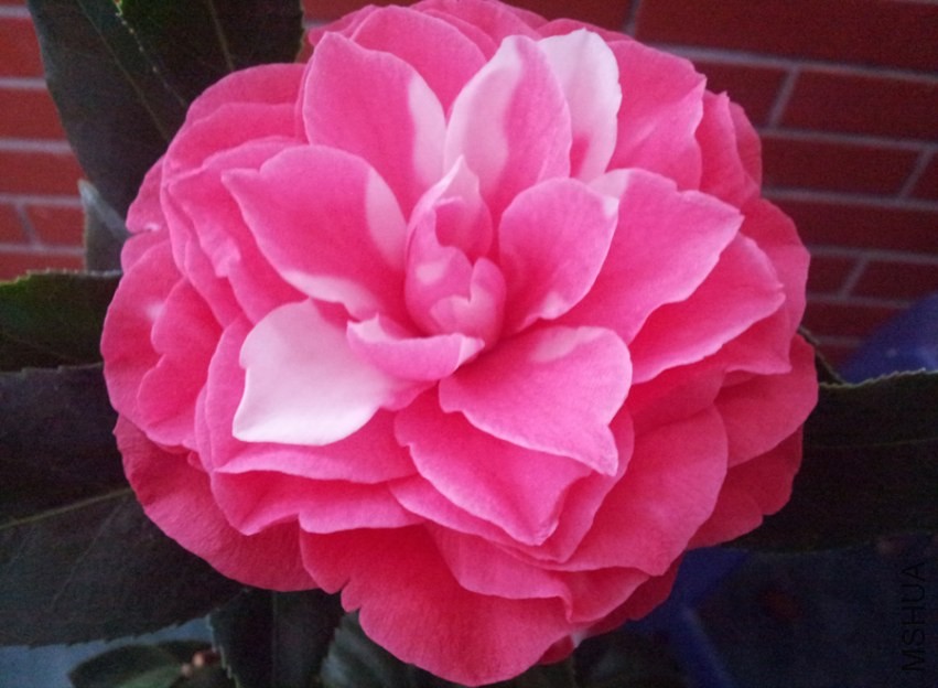 20140321_154909.jpg