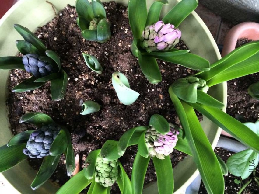 �����Ӻ������� (3)_1024_768_50.jpg