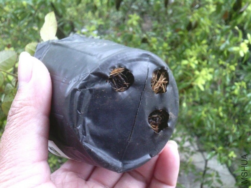 QQͼƬ20140324125309.jpg