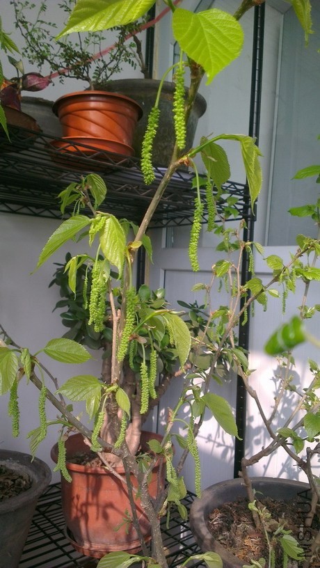 IMAG3942_��С��С.jpg