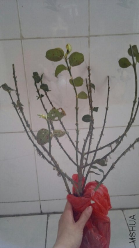 QQͼƬ20140324172710.jpg