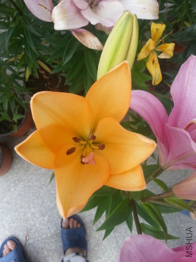 ��ŵ���� (7).jpg