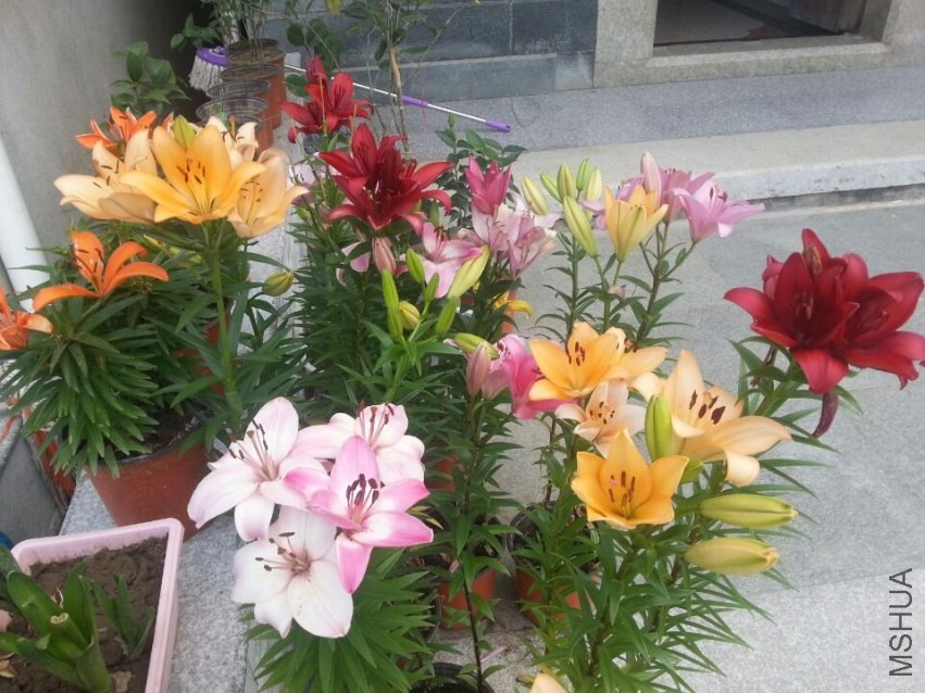 ���� (3).jpg