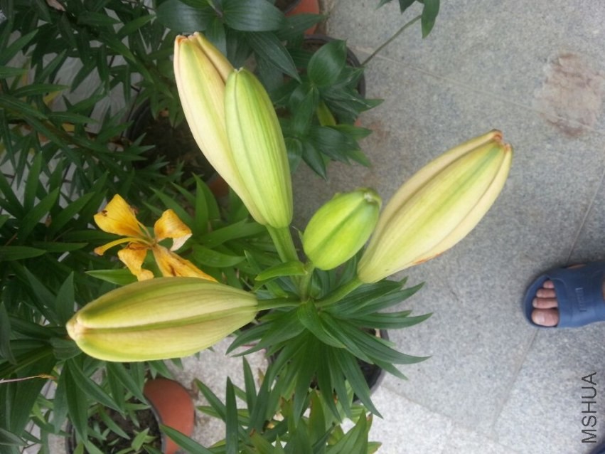 ���� (4).jpg