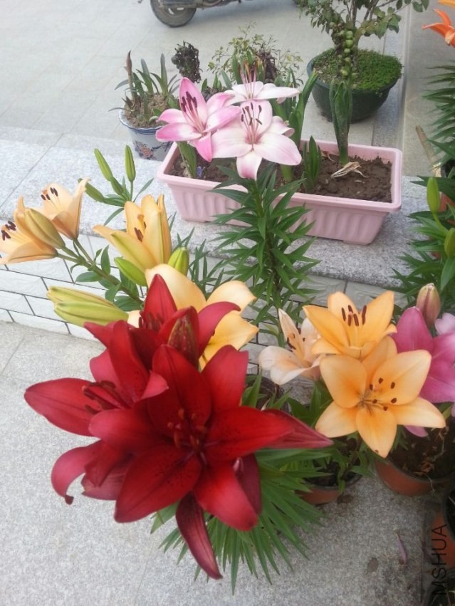 ������ (1).jpg