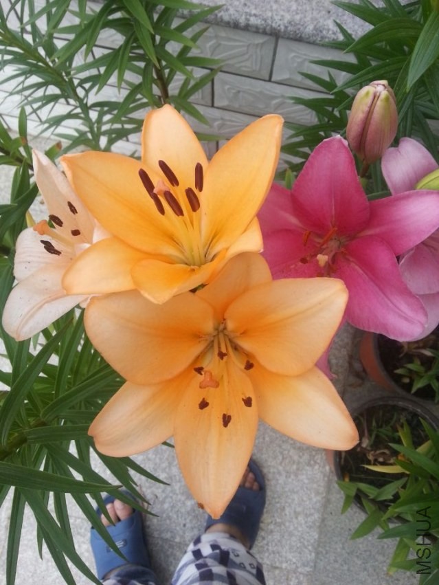 ��ŵ���� (4).jpg