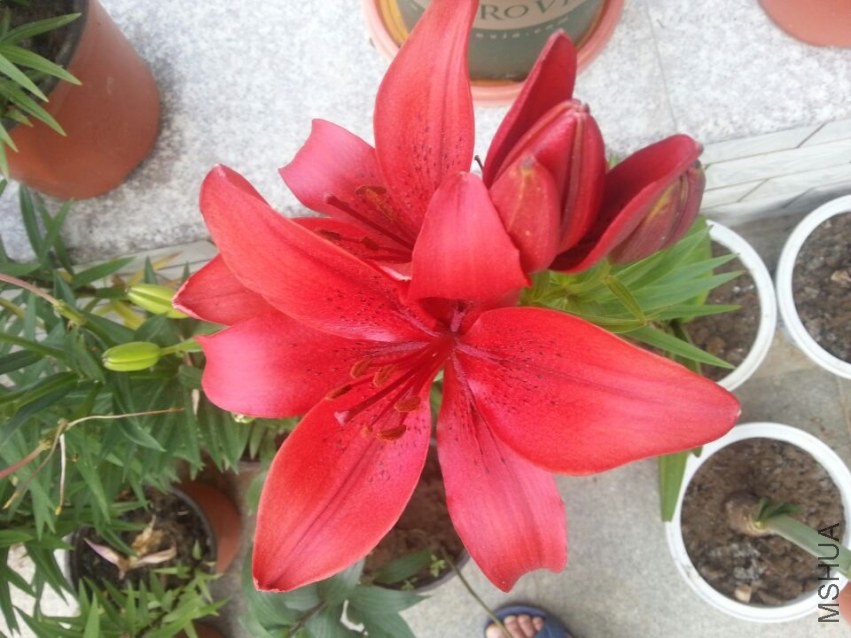 ������ (3).jpg