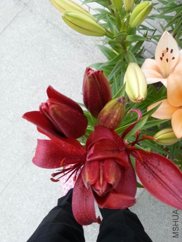 ������ (3).jpg