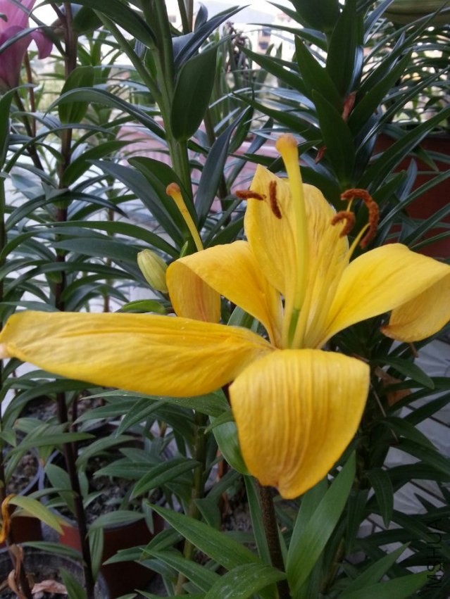 �ߵ��� (1).jpg