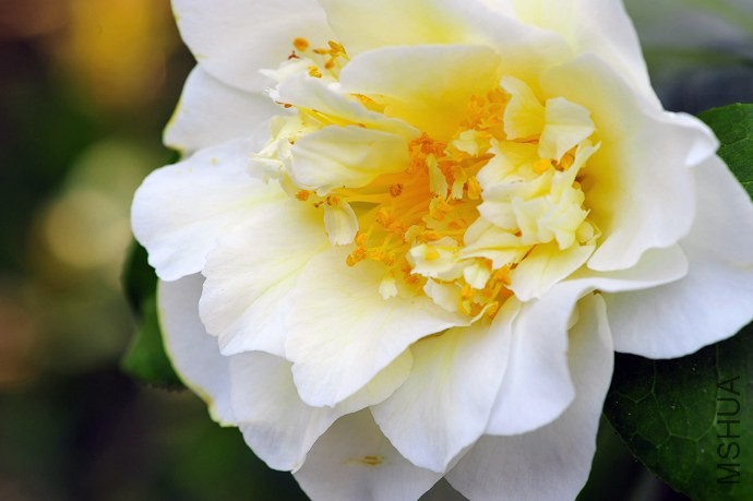 _DSC5138_edited-1.jpg