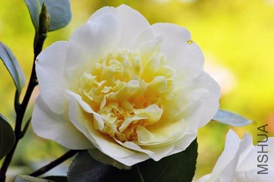_DSC5141_edited-1.jpg