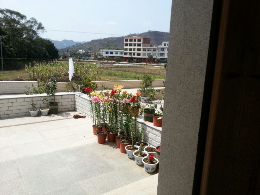 ���� (2).jpg