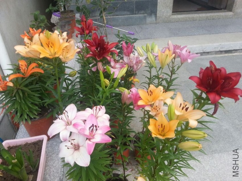 ���� (5).jpg