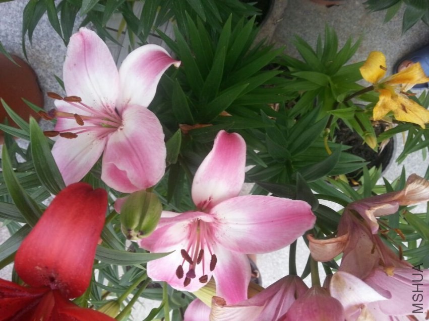 ���׶� (2).jpg