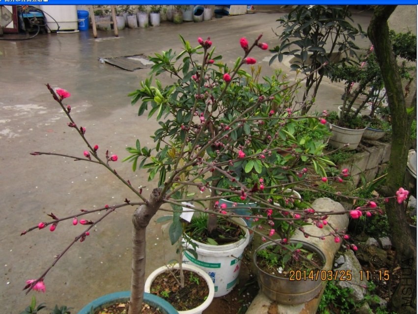 QQͼƬ20140325111712.jpg