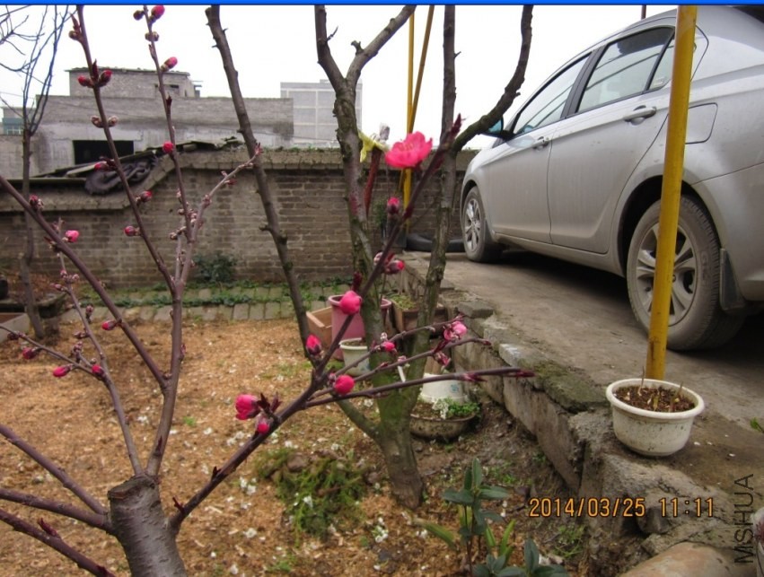 QQͼƬ20140325111719.jpg