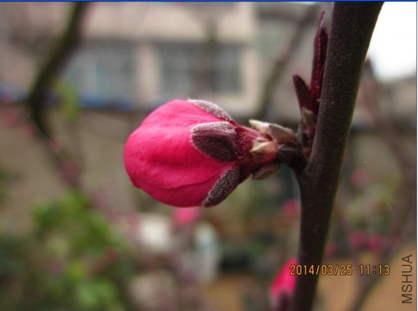QQͼƬ20140325111724.jpg