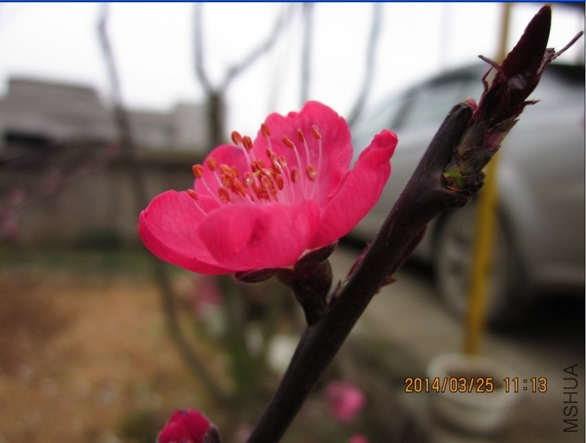 QQͼƬ20140325111731.jpg